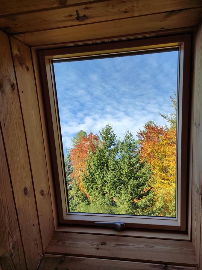 Apartmán Wiking Sklářská Poruba Exteriér fotografie